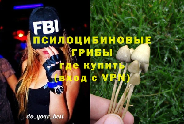 мдпв Пролетарск