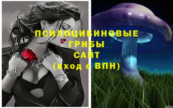 ALPHA PVP Алексин