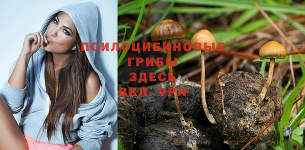 ALPHA PVP Алексин