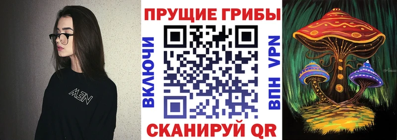 ссылка на мегу зеркало  Курлово  Галлюциногенные грибы Magic Shrooms 